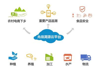 農(nóng)場追溯系統(tǒng)與電子商務(wù)平臺融合的技術(shù)開發(fā)解決方案